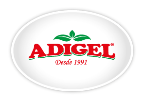 Logo Adigel